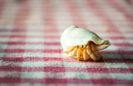 MPS moves a hermit crab's pace — more reason to vote no on the district's $252 million referendum